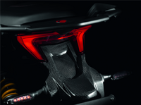 Cover portatarga in carbonio - MS-Ducati